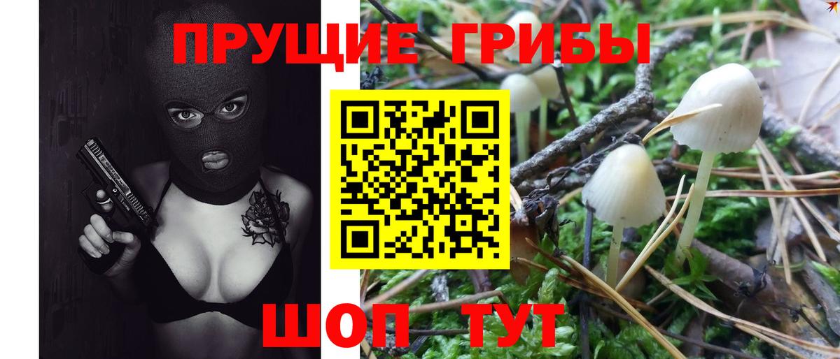 Псилоцибиновые грибы MAGIC MUSHROOMS  Вход с VPN  Галлюциногенные грибы прущие грибы  Сыктывкар 